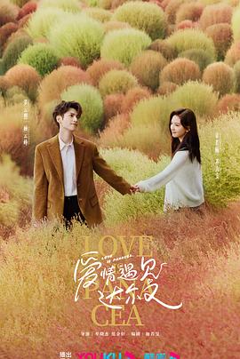 徐州seo优化运营